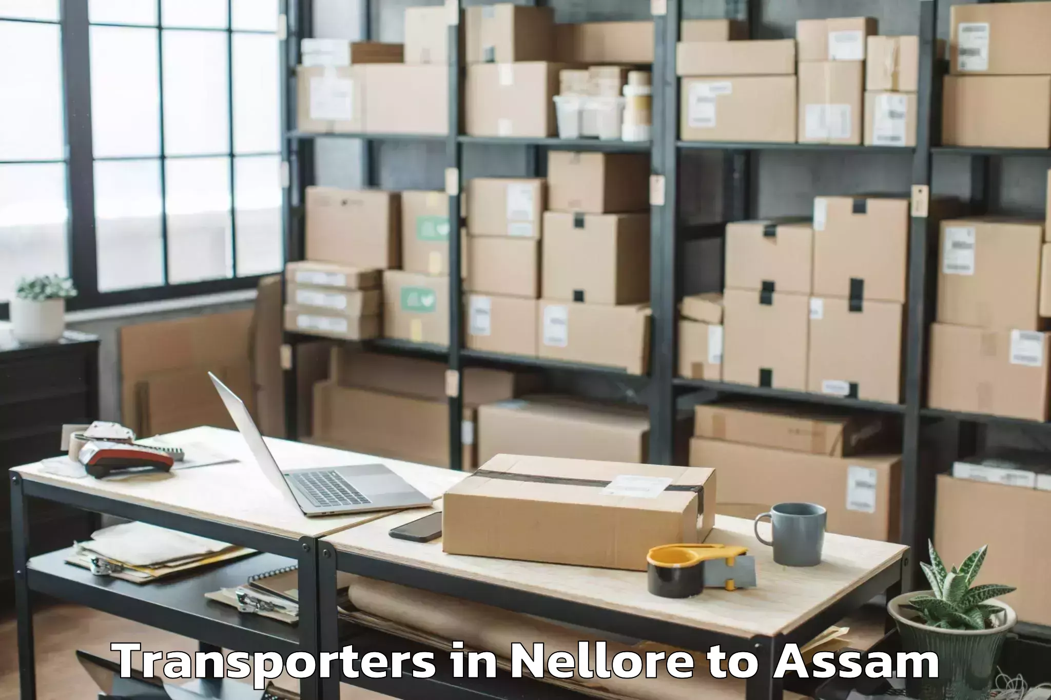 Book Nellore to Tezpur University Tezpur Transporters Online